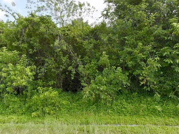 0.25 Acres of Residential Land for Sale in Port St. Lucie, Florida