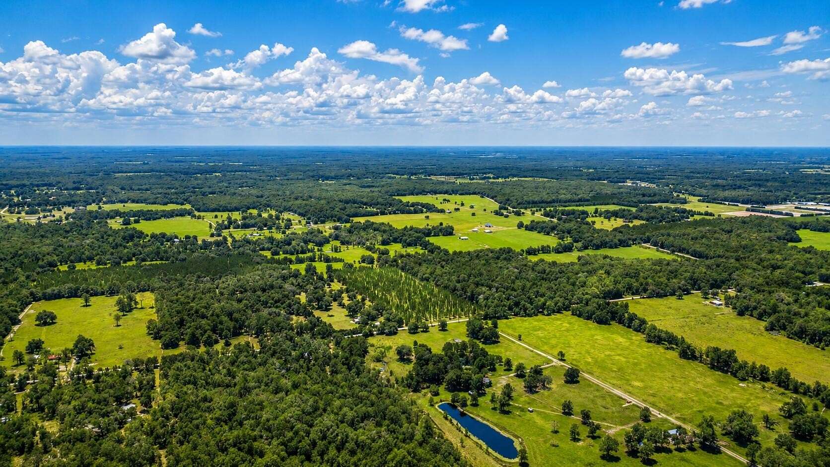 10.1 Acres of Land for Sale in Wellborn, Florida