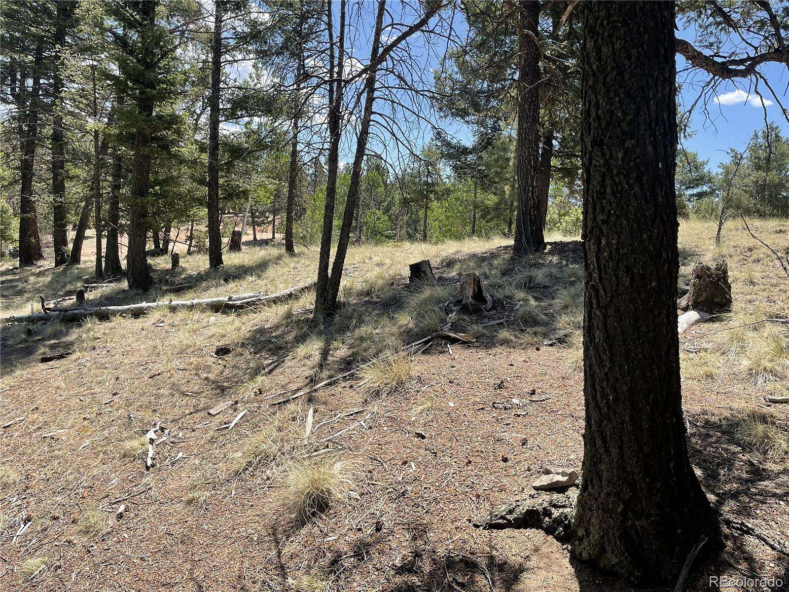 0.55 Acres of Residential Land for Sale in Florissant, Colorado