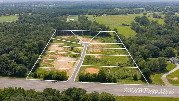 10.4 Acres of Land for Sale in Diana, Texas