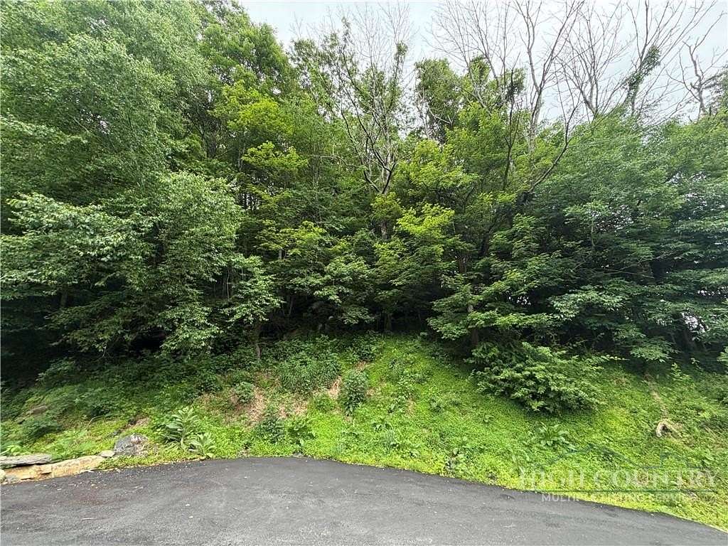 0.52 Acres of Land for Sale in Vilas, North Carolina