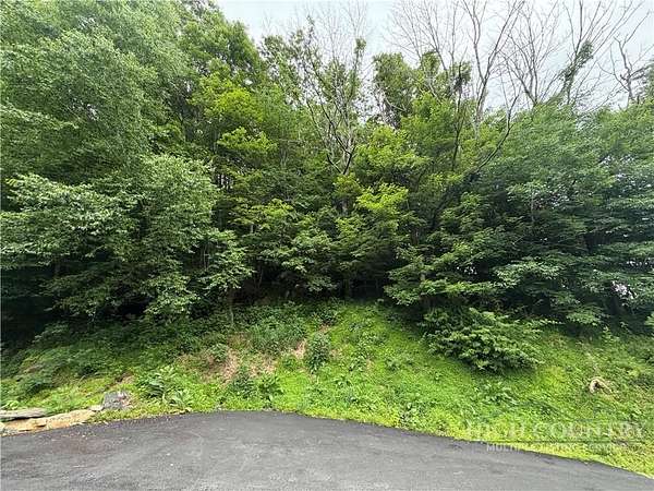 0.52 Acres of Land for Sale in Vilas, North Carolina