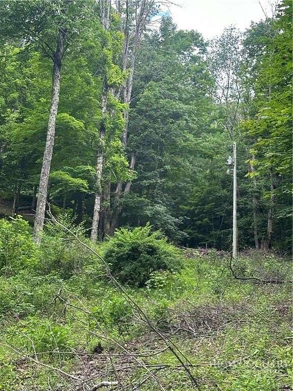 4 Acres of Residential Land for Sale in Boone, North Carolina