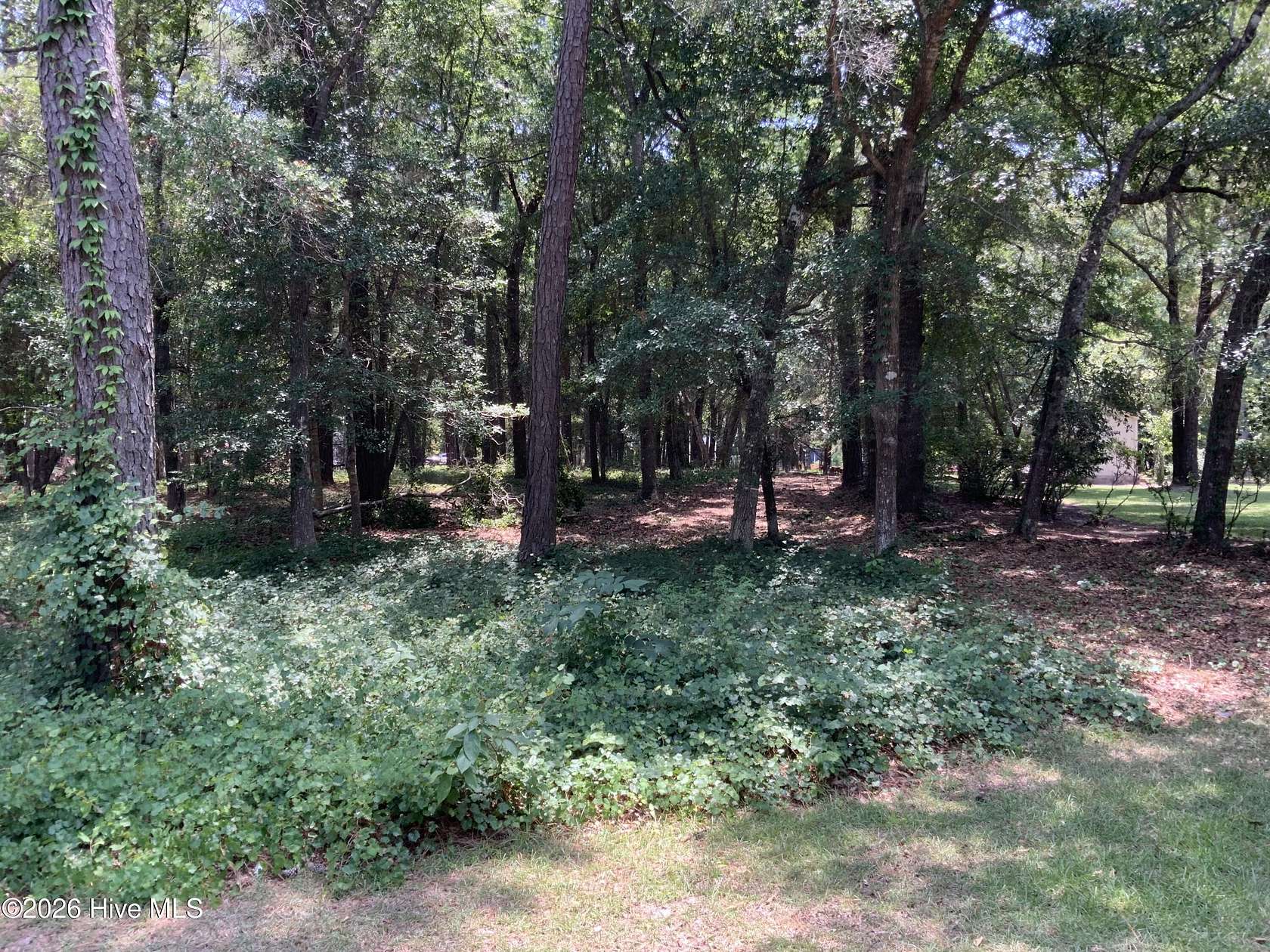 0.26 Acres of Residential Land for Sale in Bolivia, North Carolina