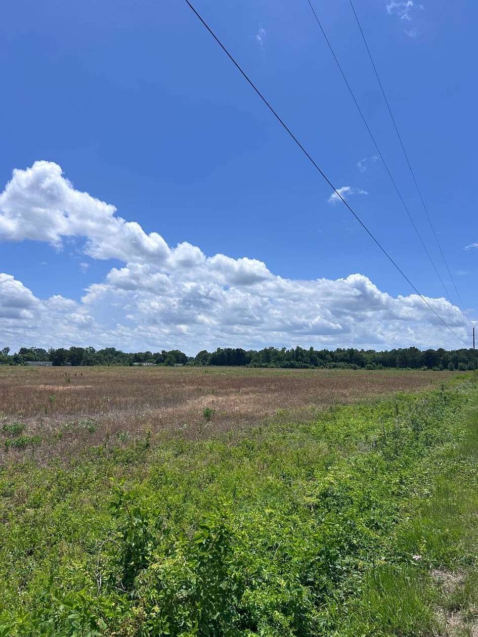 33.3 Acres of Land for Sale in Wallace, South Carolina