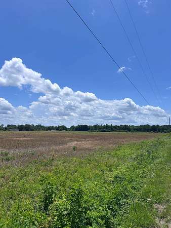 33.3 Acres of Land for Sale in Wallace, South Carolina