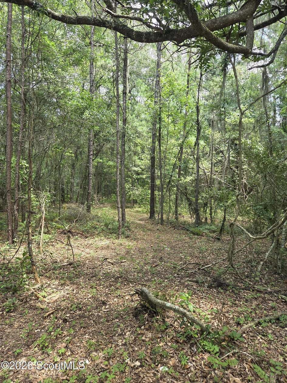 2.83 Acres of Residential Land for Sale in Townsend, Georgia