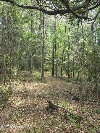 2.83 Acres of Residential Land for Sale in Townsend, Georgia