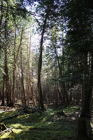 10.4 Acres of Recreational & Residential Land for Sale in Mariaville, Maine