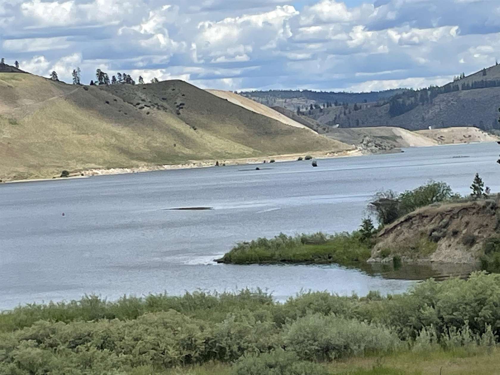 1.86 Acres of Land for Sale in Davenport, Washington