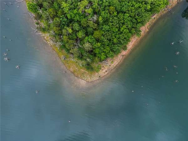 32.5 Acres of Recreational Land for Sale in Garfield, Arkansas