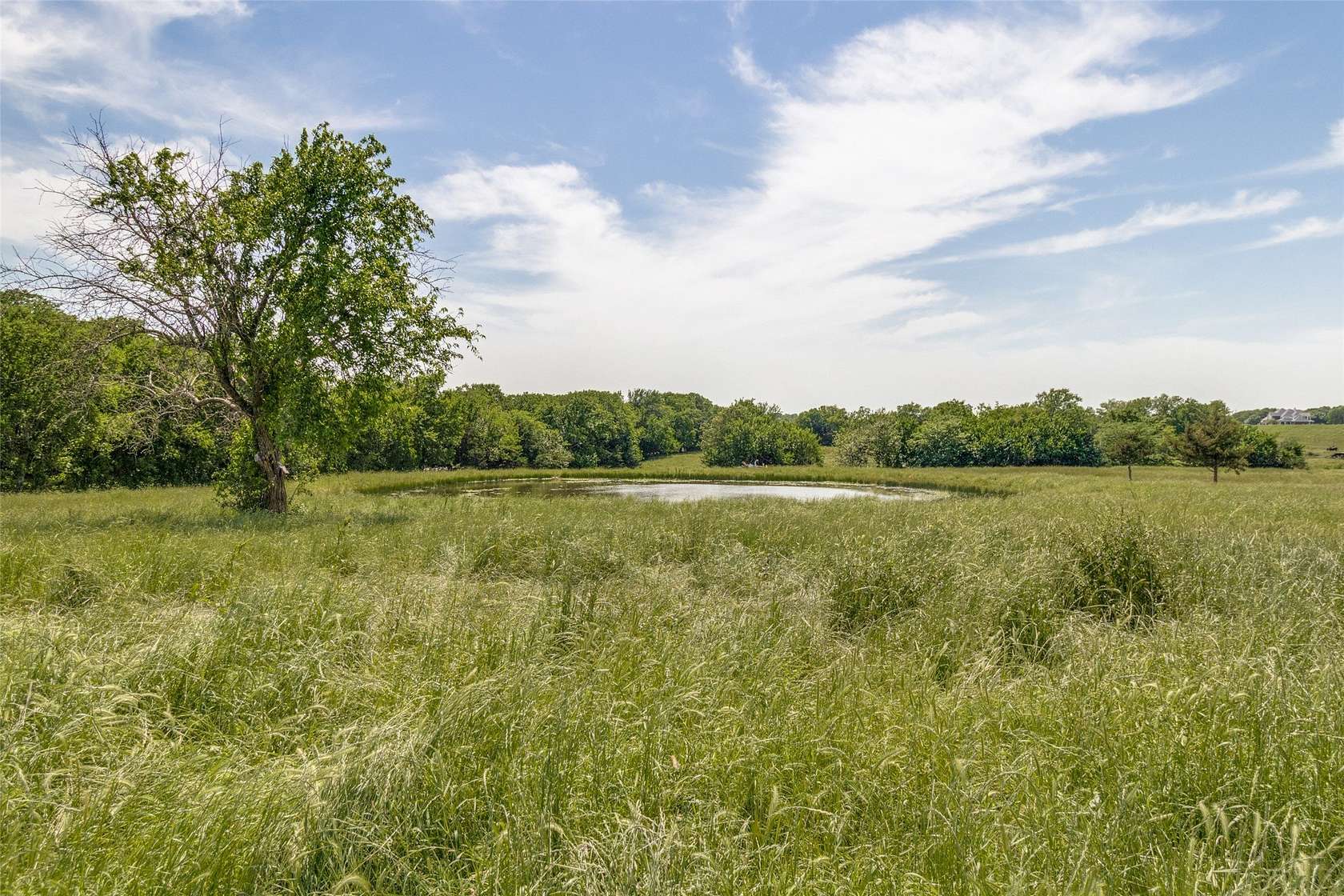 27 Acres of Land for Sale in Blue Ridge, Texas