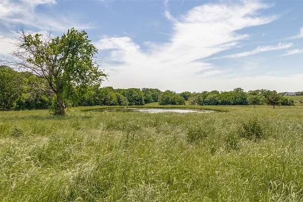27 Acres of Land for Sale in Blue Ridge, Texas