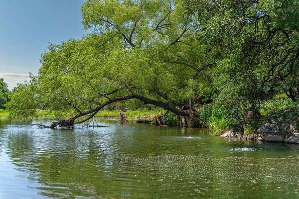 190 Acres of Improved Land for Sale in Mason, Texas
