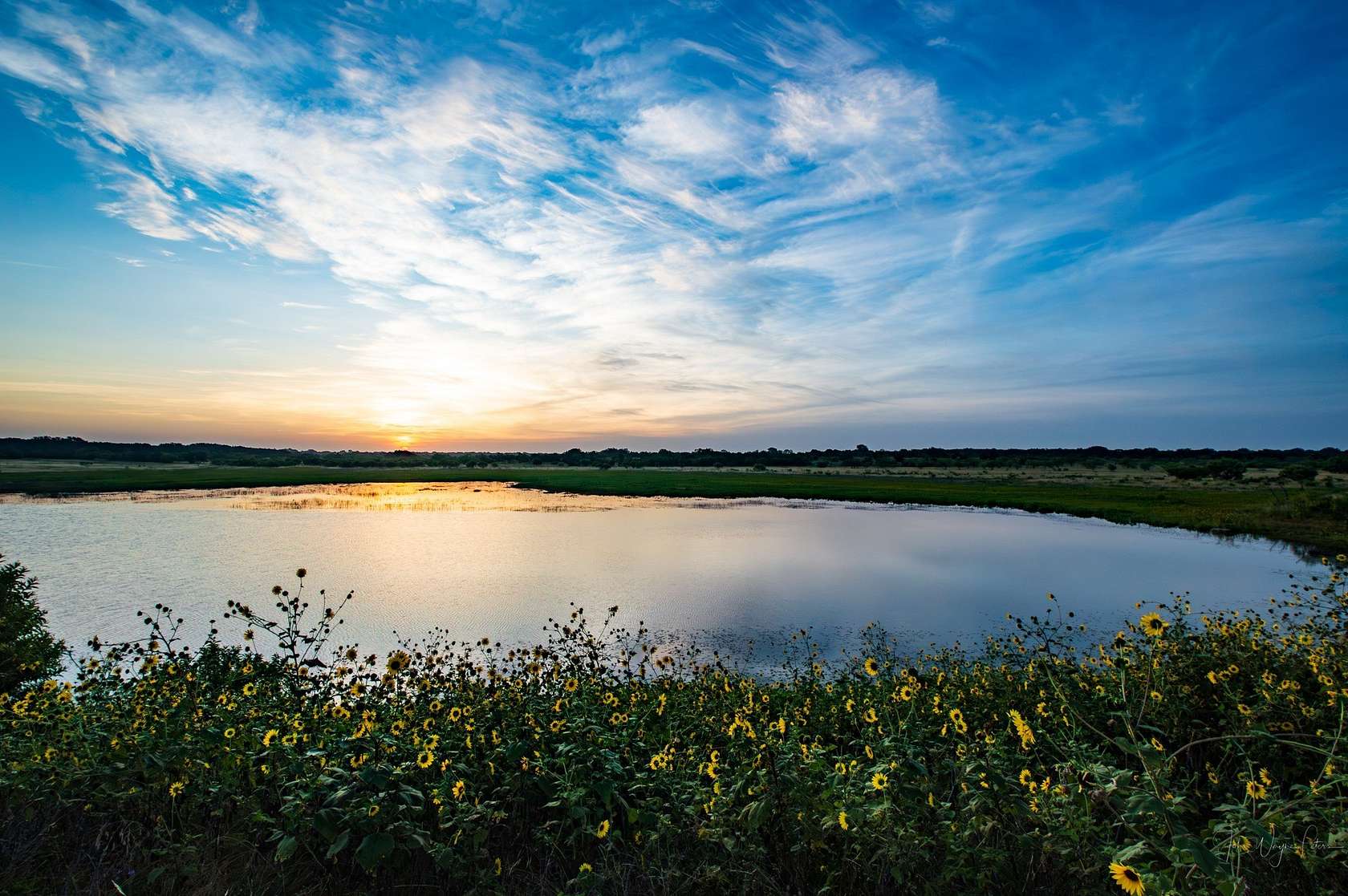441 Acres of Improved Land for Sale in Bangs, Texas