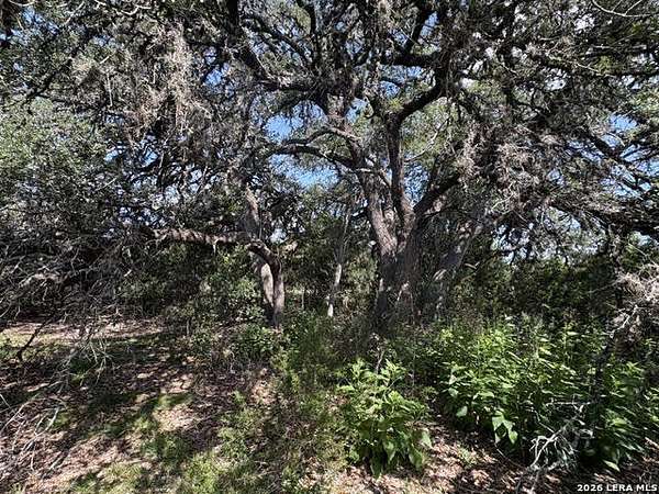 3 Acres of Residential Land for Sale in Spring Branch, Texas