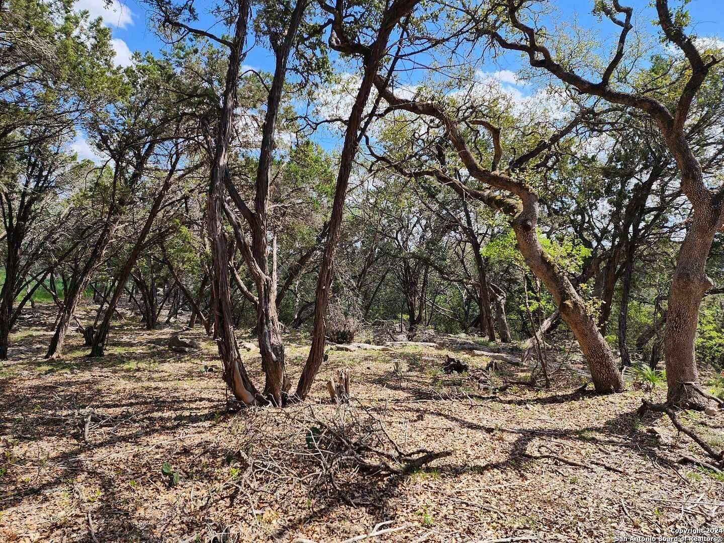 0.73 Acres of Residential Land for Sale in Spring Branch, Texas