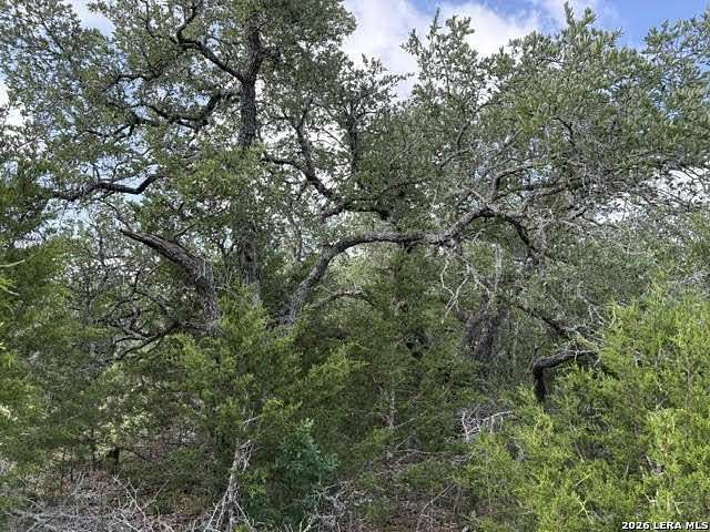 3 Acres of Residential Land for Sale in Spring Branch, Texas