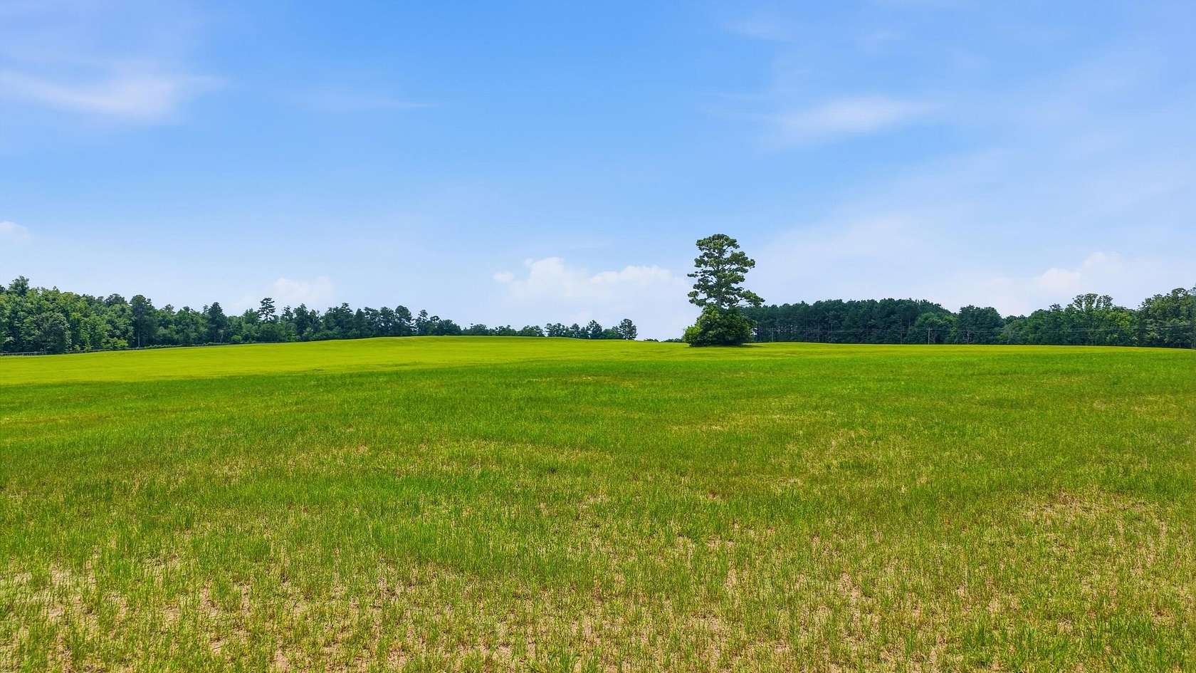37 Acres of Agricultural & Residential Land for Sale in Wagener, South Carolina