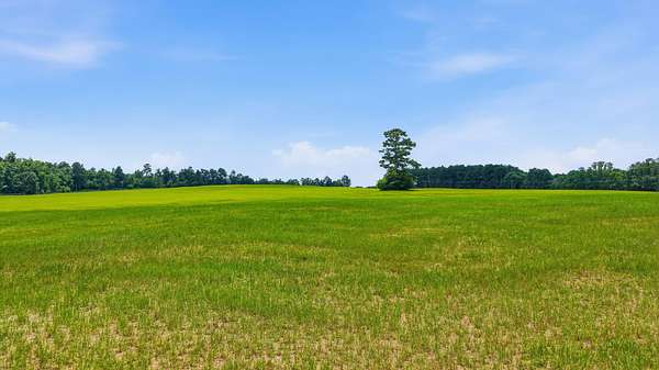 37 Acres of Agricultural & Residential Land for Sale in Wagener, South Carolina
