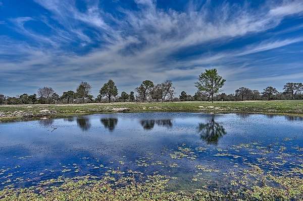560 Acres of Land for Sale in Mexia, Texas