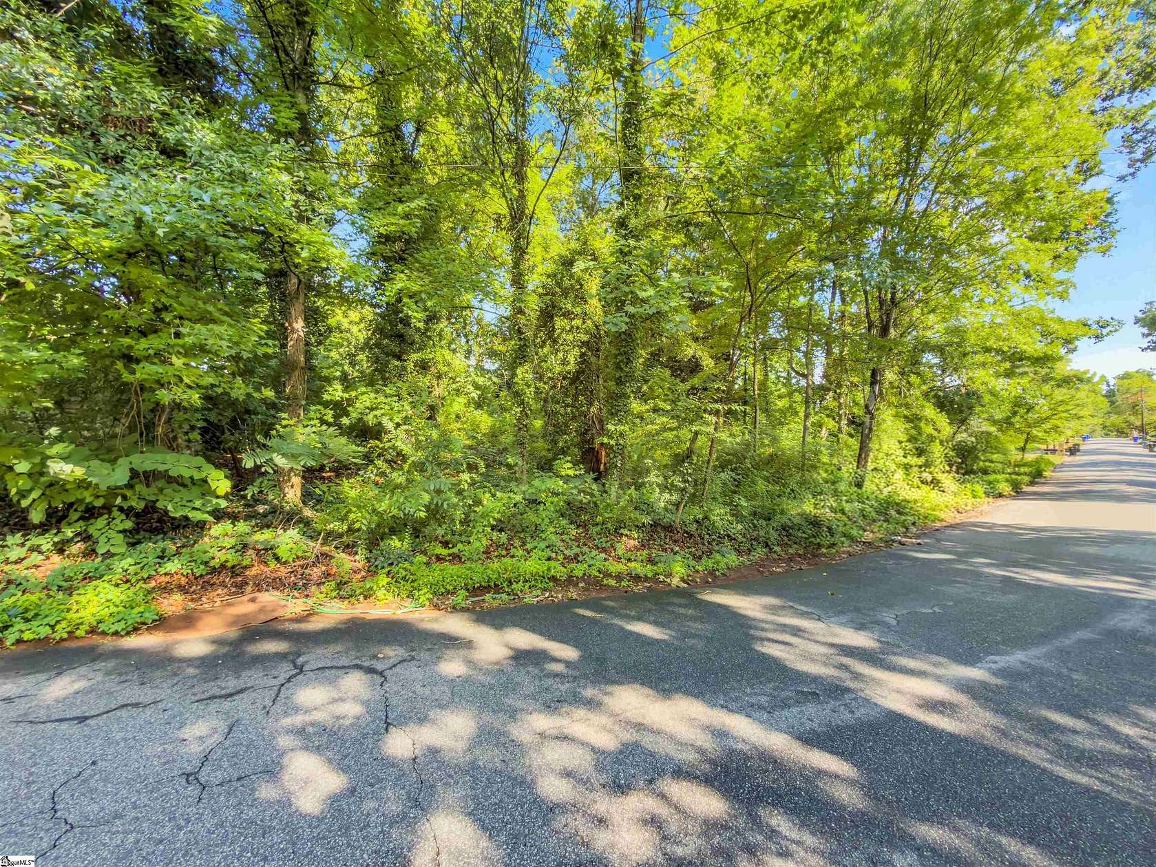 0.49 Acres of Residential Land for Sale in Greenville, South Carolina