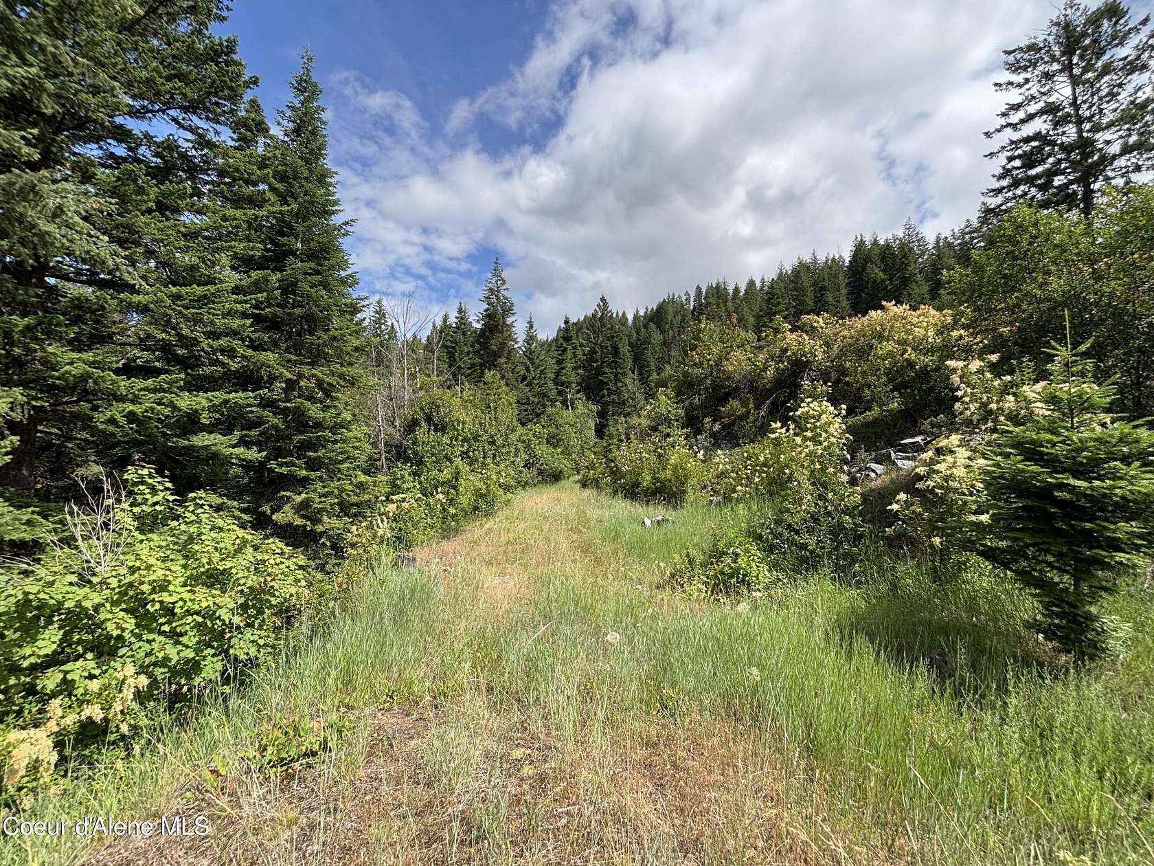 1.3 Acres of Land for Sale in Sandpoint, Idaho