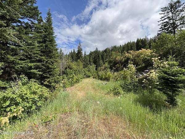 1.3 Acres of Land for Sale in Sandpoint, Idaho