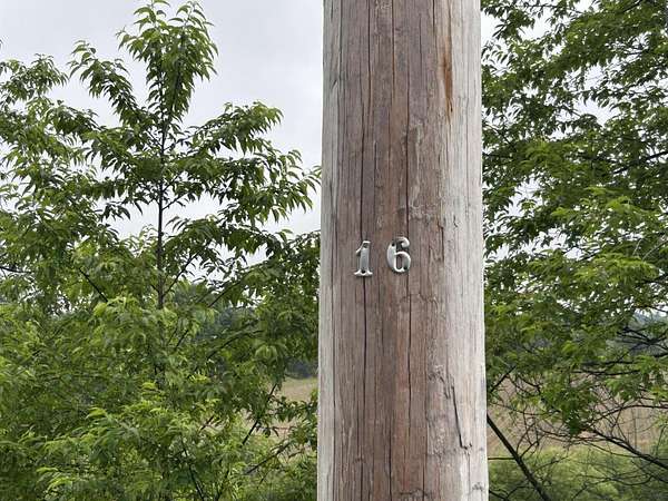 59.5 Acres of Land for Sale in Clinton, Maine