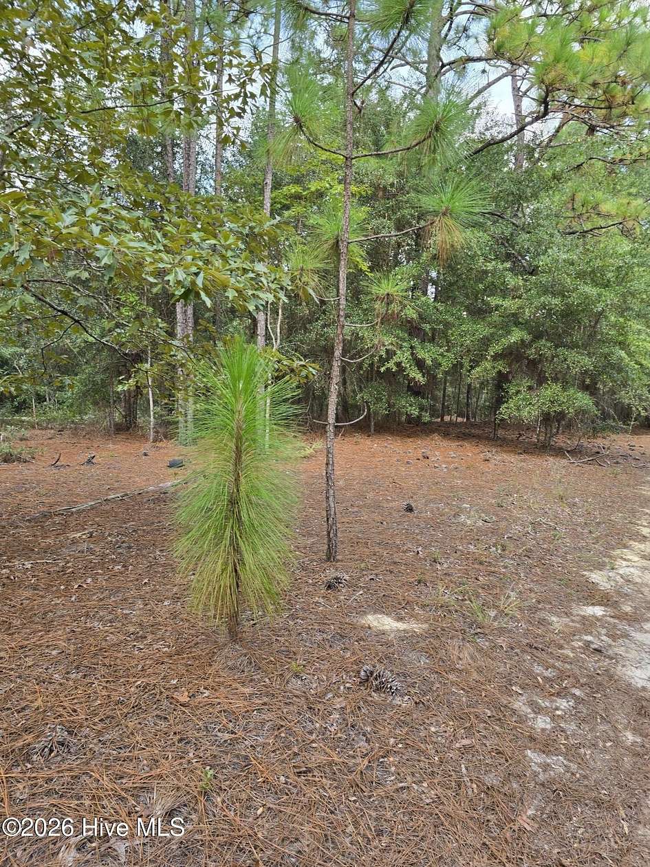 25 Acres of Land for Sale in Allendale, South Carolina