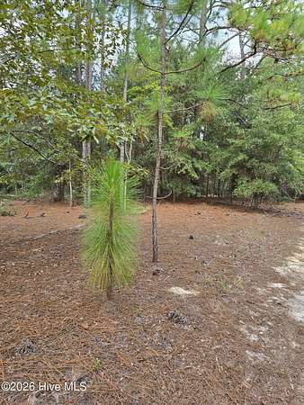 25 Acres of Land for Sale in Allendale, South Carolina