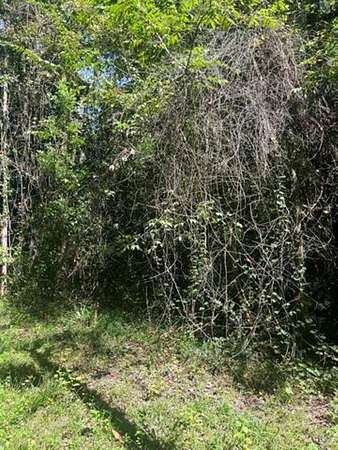 5.6 Acres of Residential Land for Sale in Crawfordville, Florida