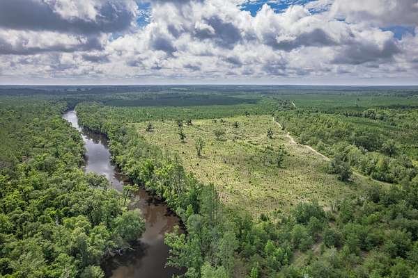 100 Acres of Recreational Land for Sale in Pinetta, Florida