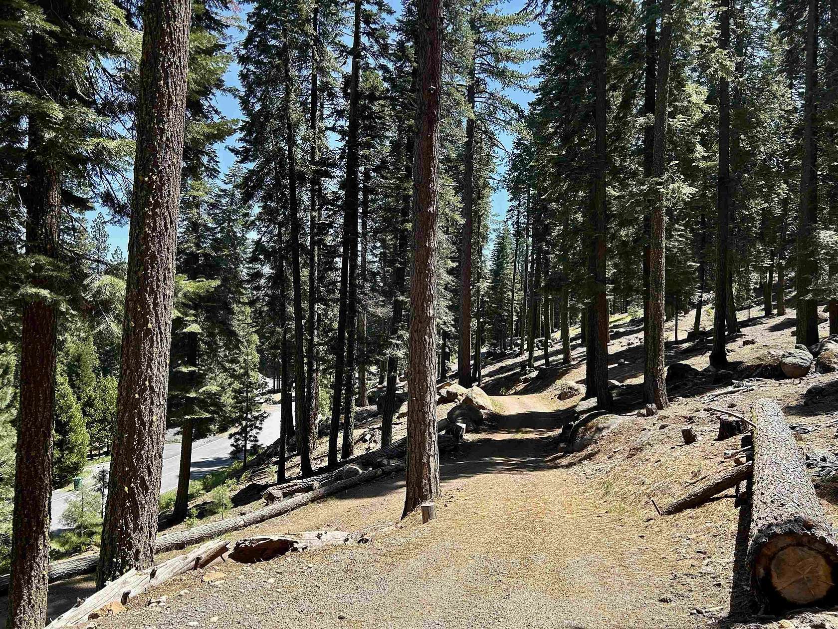 1 Acre of Residential Land for Sale in Chester, California