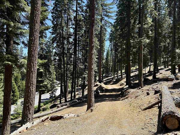 1 Acre of Residential Land for Sale in Chester, California