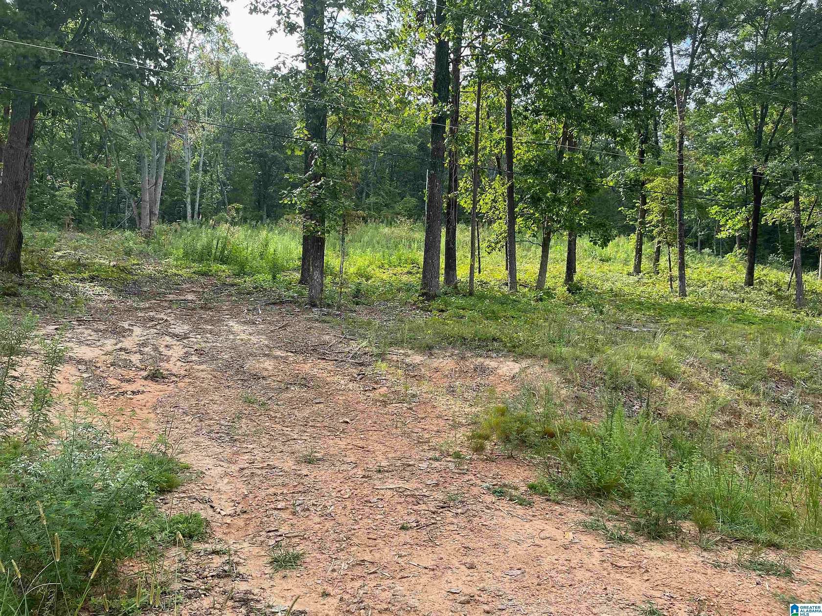 1 Acre of Residential Land for Sale in Odenville, Alabama