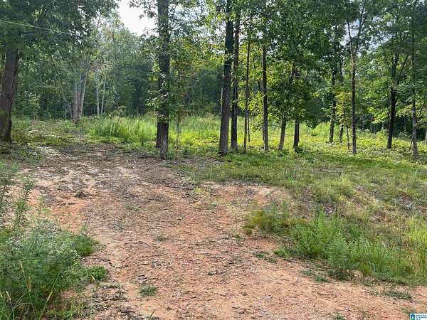 1 Acre of Residential Land for Sale in Odenville, Alabama