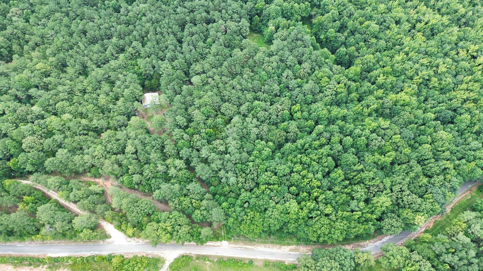 52.1 Acres of Recreational Land for Sale in Springville, Tennessee