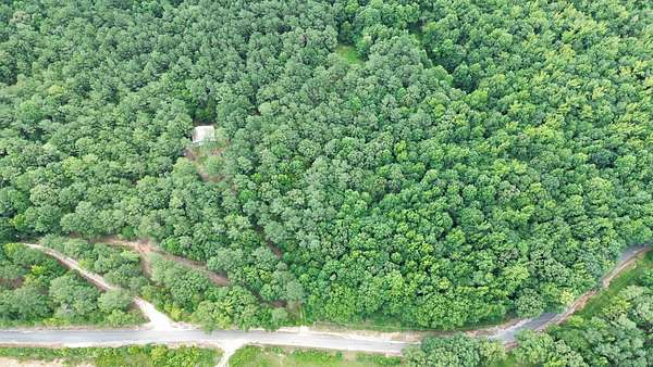52.1 Acres of Recreational Land for Sale in Springville, Tennessee