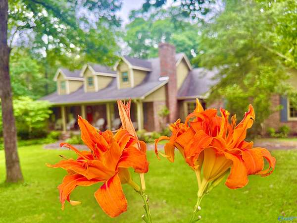 3.1 Acres of Land with Home for Sale in Decatur, Alabama