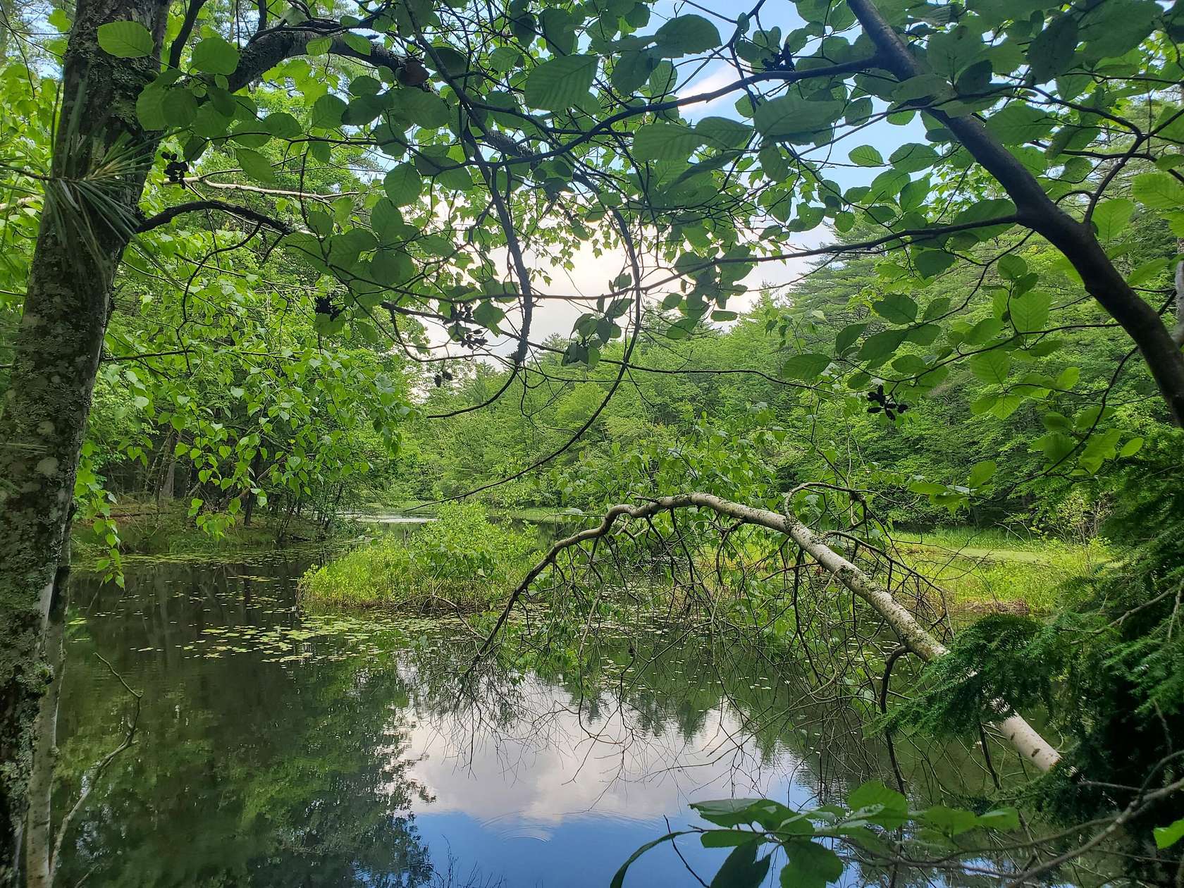 3.15 Acres of Residential Land for Sale in Limerick, Maine