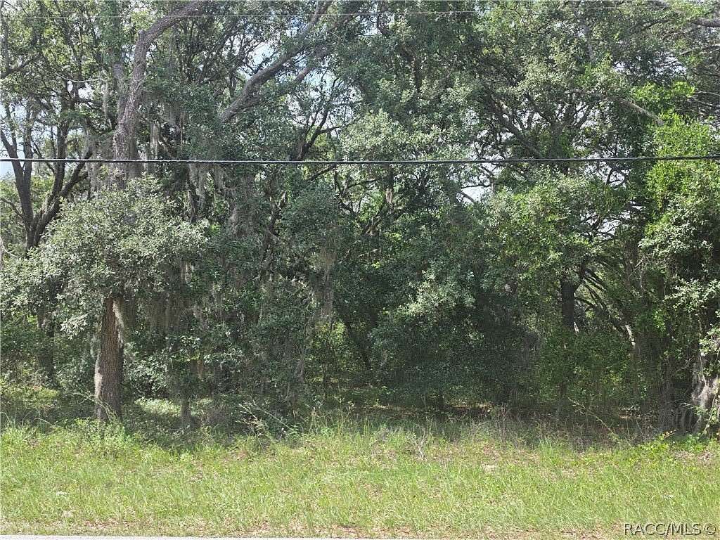 1 Acre of Residential Land for Sale in Hernando, Florida