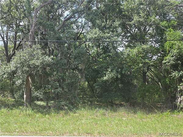 1 Acre of Residential Land for Sale in Hernando, Florida