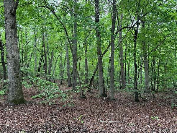 1.5 Acres of Residential Land for Sale in Clarksville, Virginia