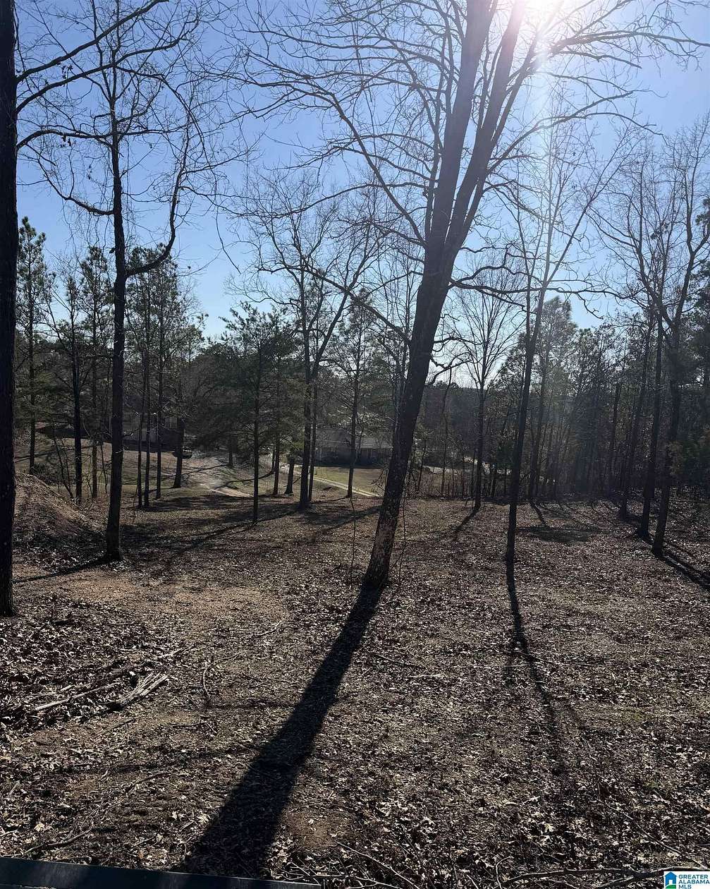 3 Acres of Residential Land for Sale in Clanton, Alabama