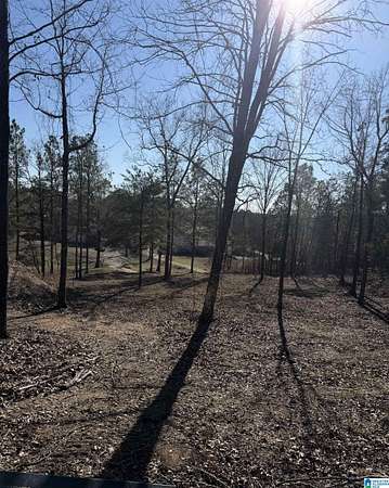3 Acres of Residential Land for Sale in Clanton, Alabama
