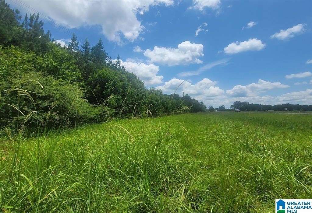 13.5 Acres of Commercial Land for Sale in Harpersville, Alabama