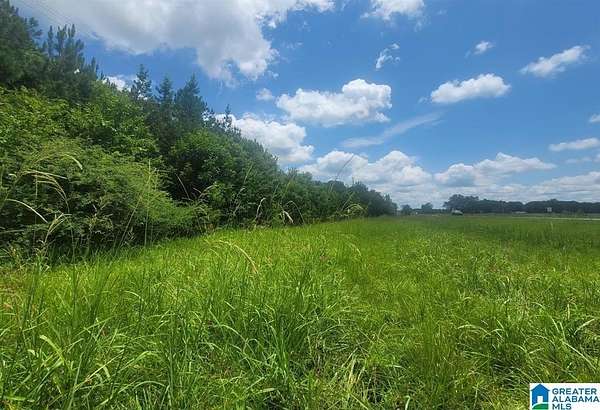 13.5 Acres of Commercial Land for Sale in Harpersville, Alabama