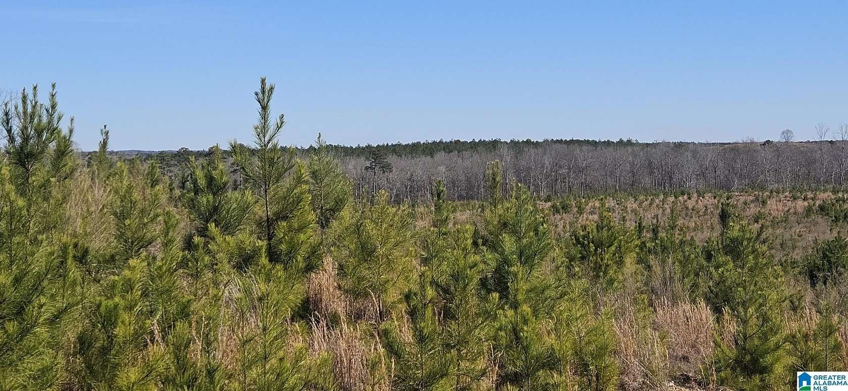 45 Acres of Land for Sale in Randolph, Alabama