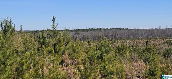 45 Acres of Land for Sale in Randolph, Alabama